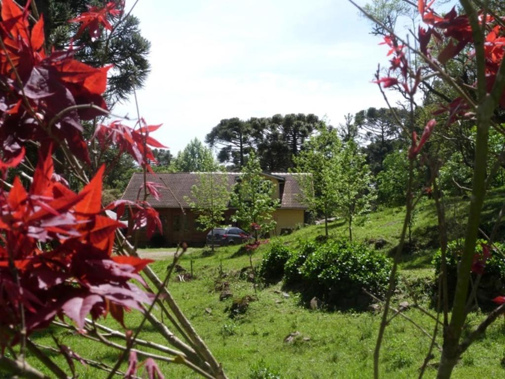 Casarao Da Cascata Villa กรามาโด ภายนอก รูปภาพ
