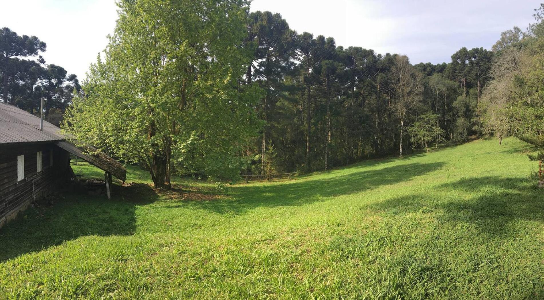 Casarao Da Cascata Villa กรามาโด ภายนอก รูปภาพ
